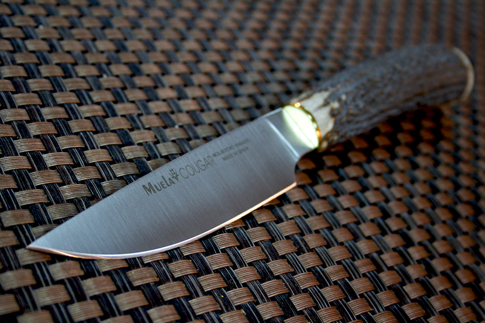 Нож Muela Cougar