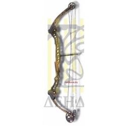 Лук блочный Mathews CONQUEST-3 Лук блочный Mathews CONQUEST-3