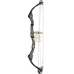 Лук блочный Mathews Conquest 4 Лук блочный Mathews Conquest 4