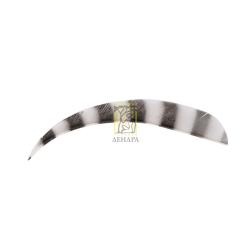 Оперение натуральное зебра Bearpaw Turkey parabolic 3" Оперение натуральное зебра Bearpaw Turkey parabolic 3"