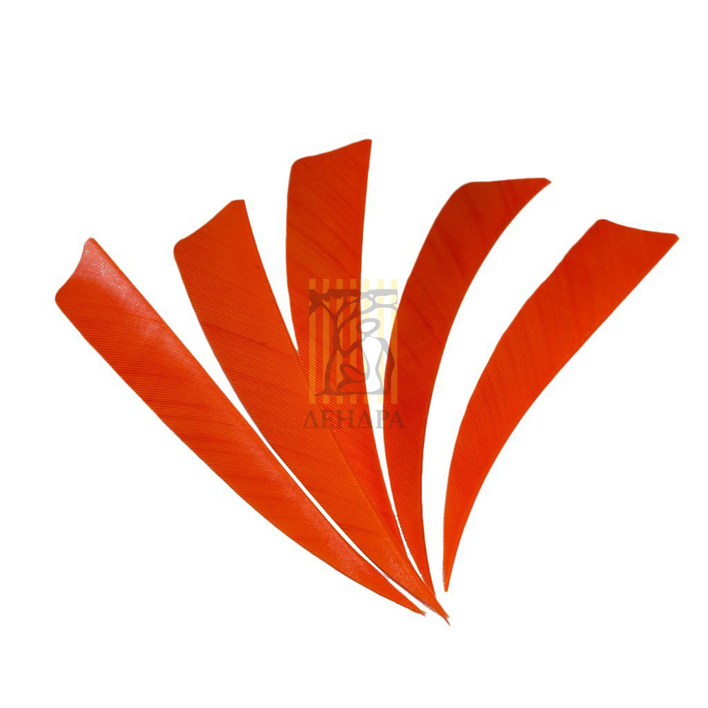 Оперение для стрел "BP Turkey" натуральное, цвет  красный, длина от 8" до 14", 100 шт в комплекте.