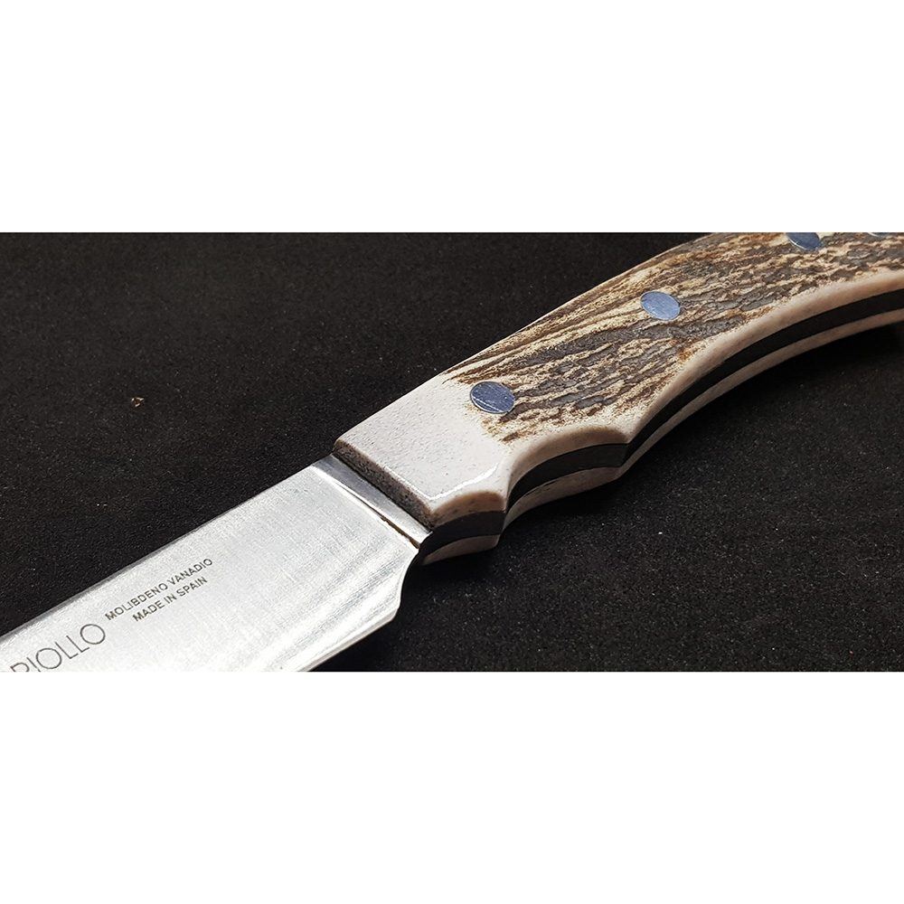 Нож "CRIOLLO" с фикс клинком длиной 14 см, рукоять рог оленя, ножны кожа