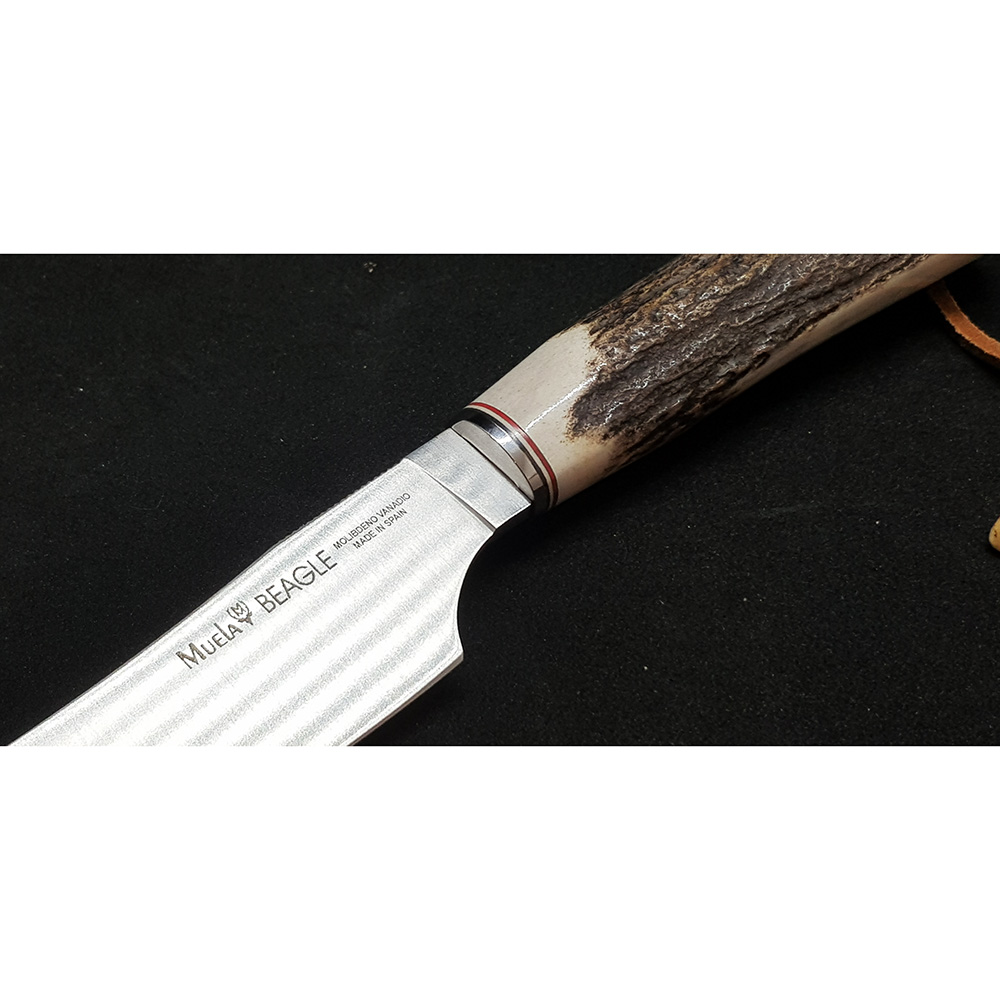 Нож "BEAGLE" с фикс клинком длиной 11см, рукоять рог оленя, ножны кожа